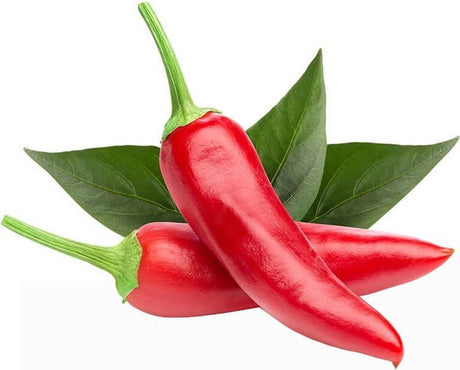 Klik og vokse klik vokse chilipeber refill (3-pak)