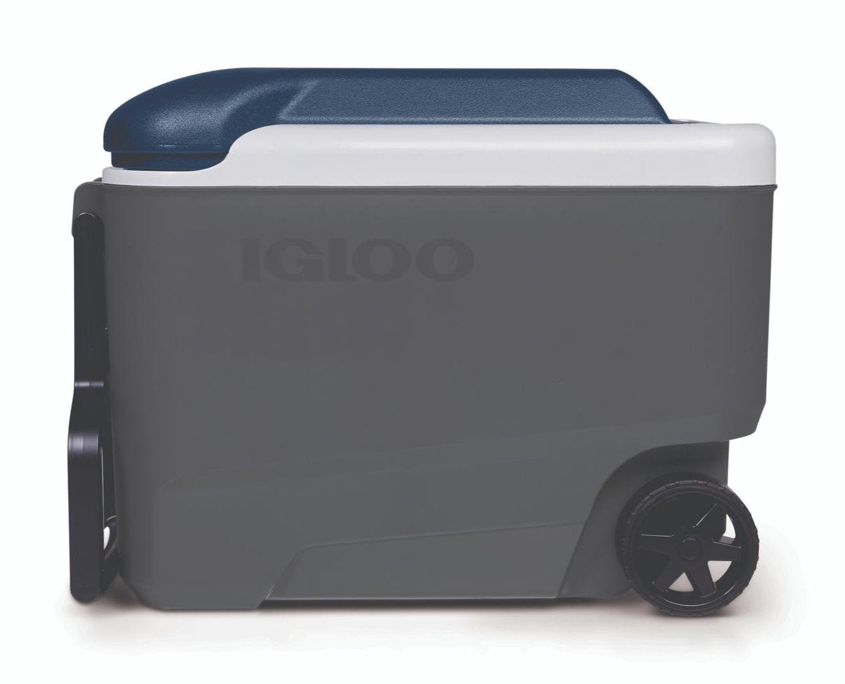 Igloo maxcold 40 rulle - mellemstor køleboks på hjul - 38 liter - grå