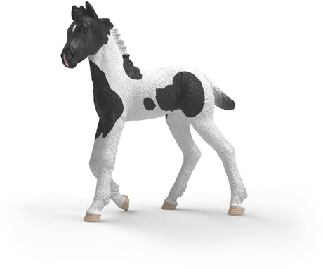 Schleich hesteklub samleobjekt føl rocky 81481