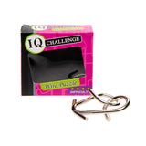 Duckiez metal IQ puslespil