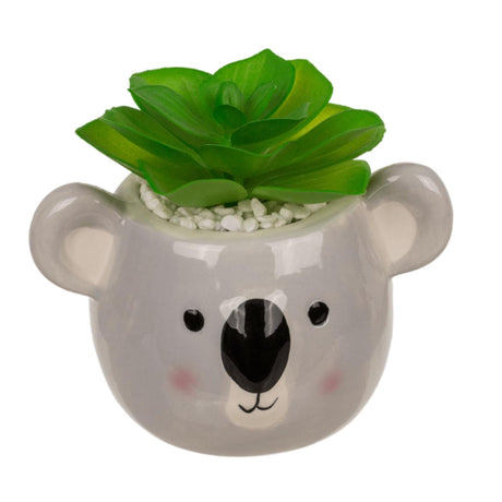 Ootb sukkulent i potte, dovendyr eller koala