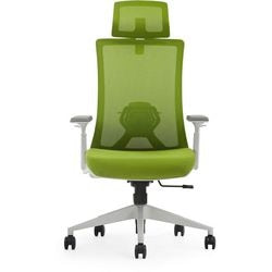Bureaustoel euroseats groen 520 110 kg