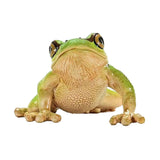 Schleich | 5 stk