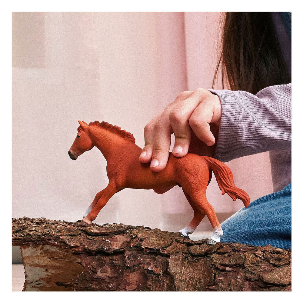 Schleich hesteklub engelsk fuldblodshingst 14915