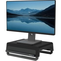 Monitor stand fellowes 100016560 sort 15000 g