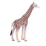 Mojo wildlife giraf han - 381008