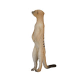 Mojo dyrelivsmeerkat - 387125