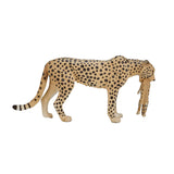 Mojo wildlife gepard hun med unge - 387167
