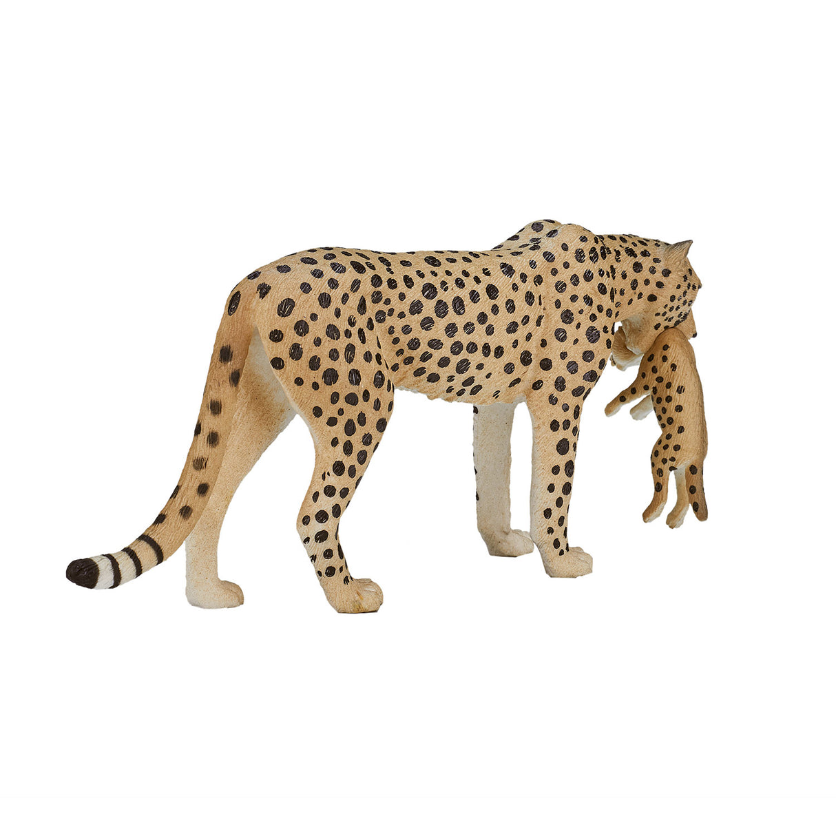 Mojo wildlife gepard hun med unge - 387167