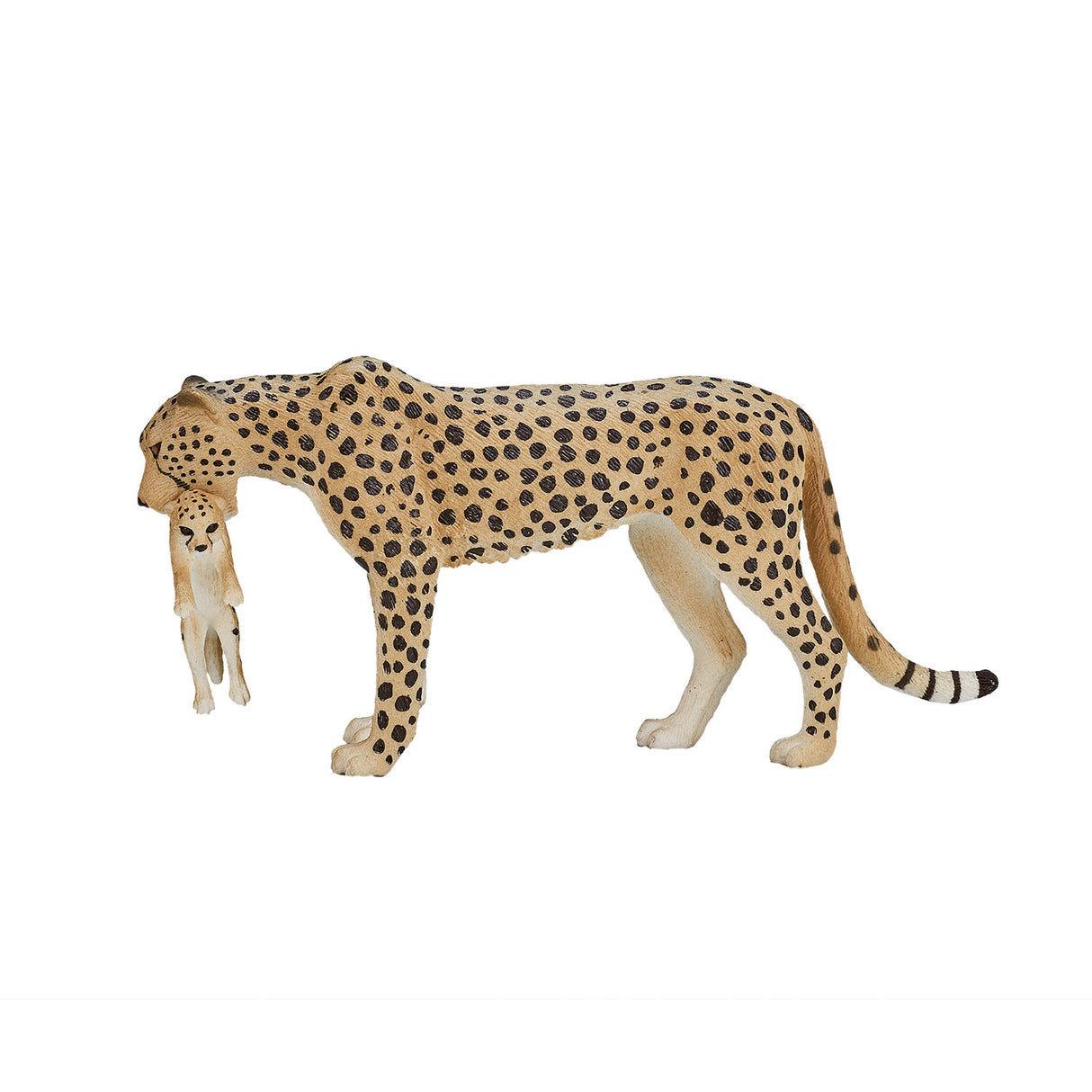 Mojo wildlife gepard hun med unge - 387167