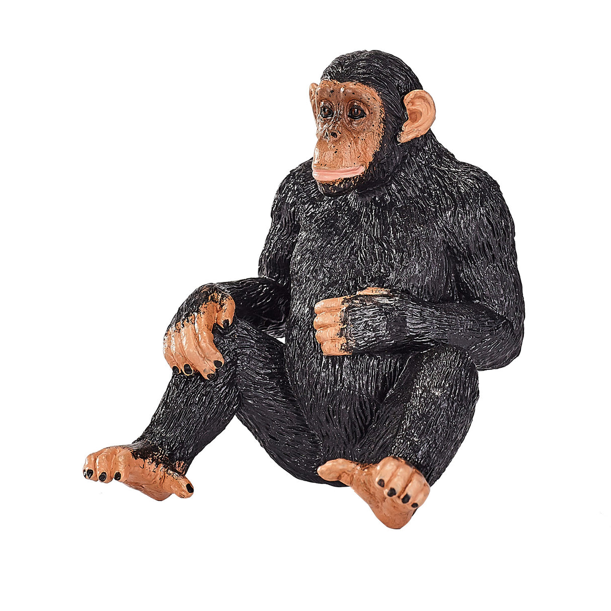 Mojo vilde chimpanse - 387265