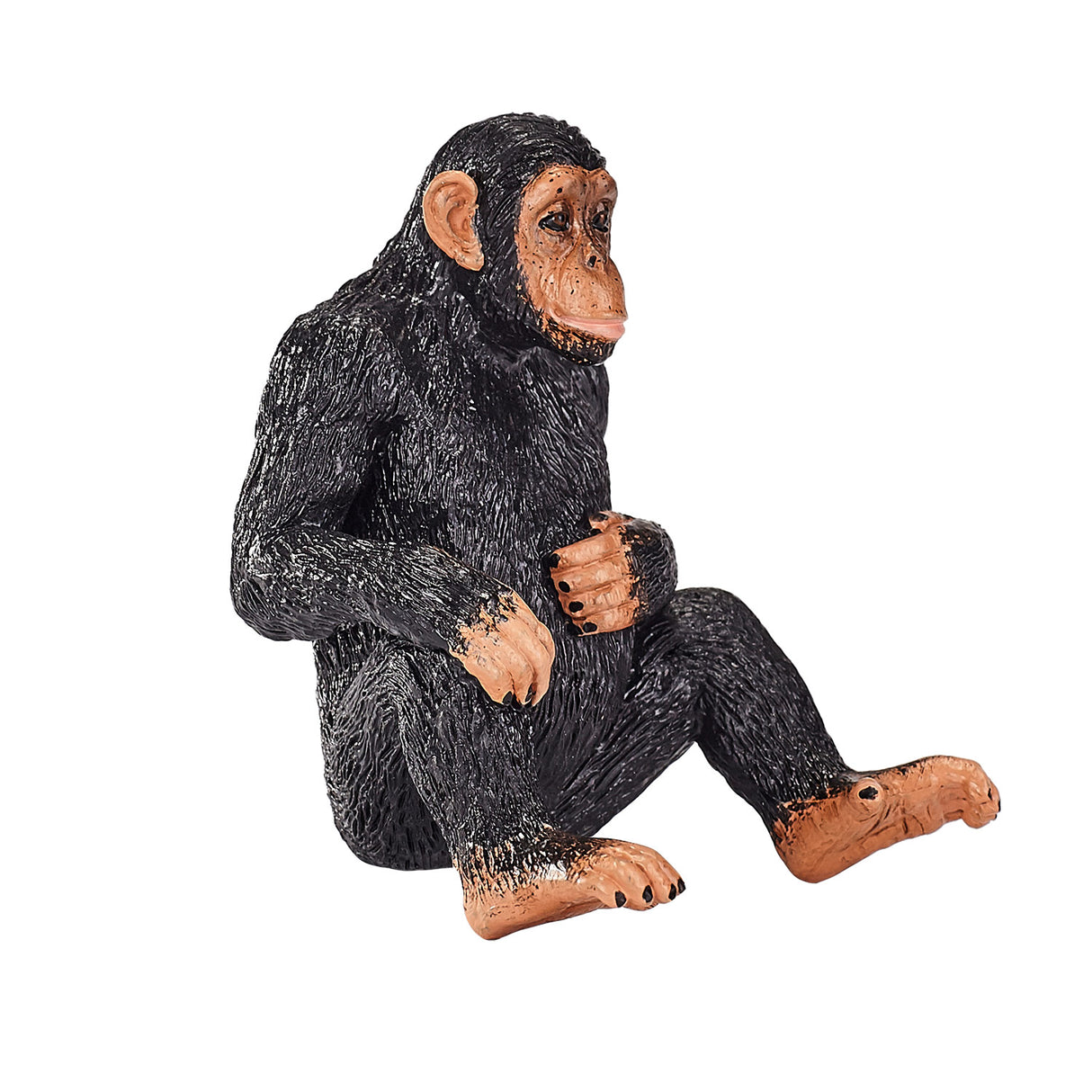 Mojo vilde chimpanse - 387265