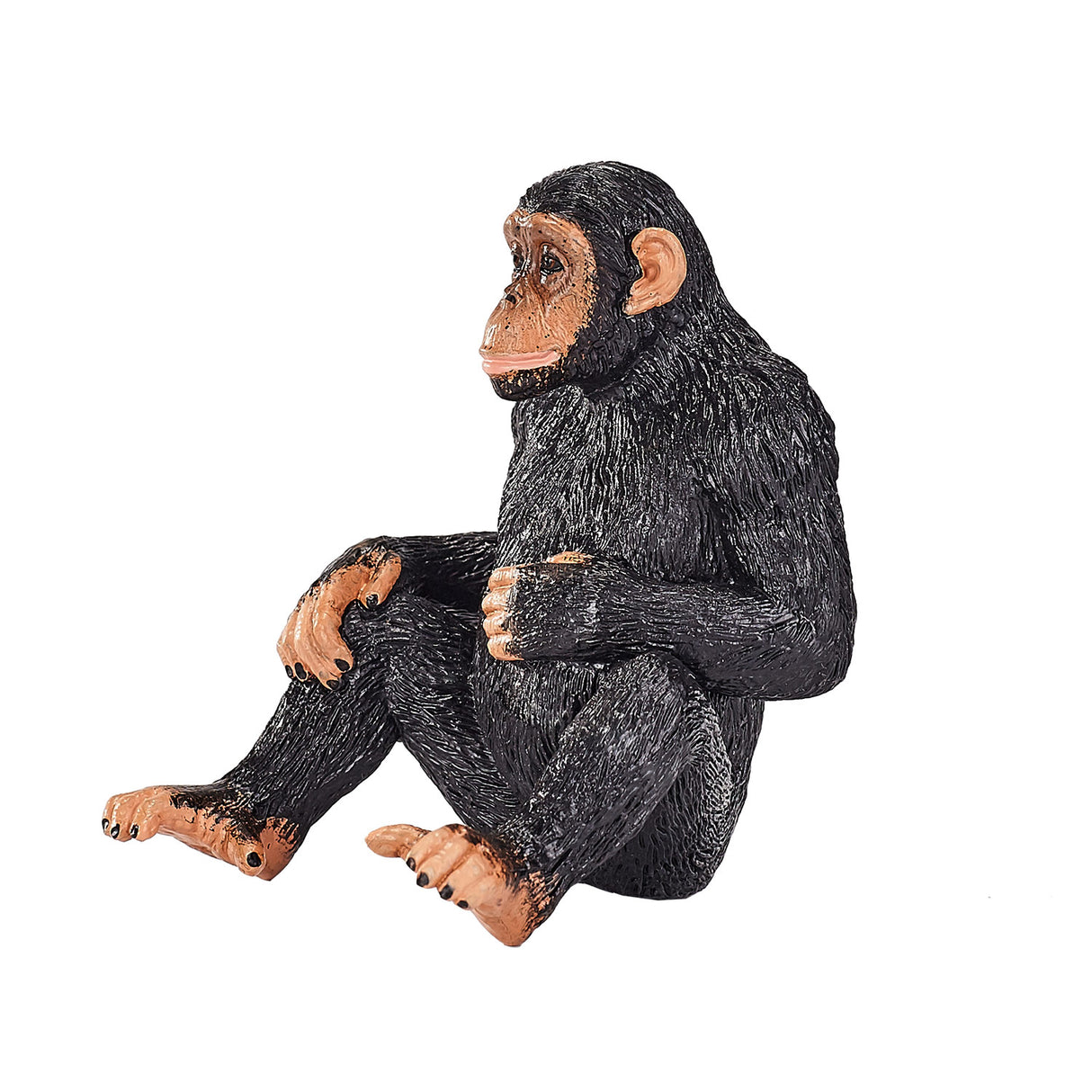 Mojo vilde chimpanse - 387265