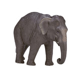 Mojo dyreliv asiatisk elefant - 387266