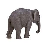 Mojo dyreliv asiatisk elefant - 387266