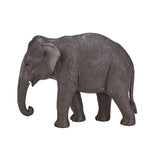 Mojo dyreliv asiatisk elefant - 387266