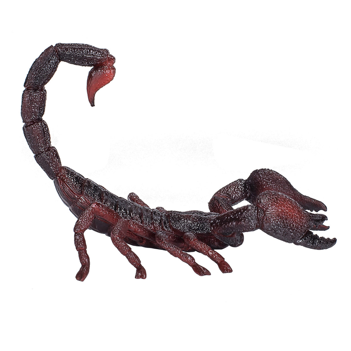 Mojo dyreliv kejser skorpion - 387133
