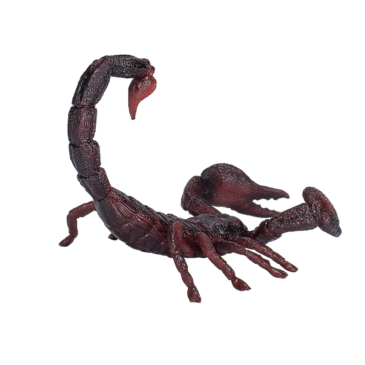 Mojo dyreliv kejser skorpion - 387133