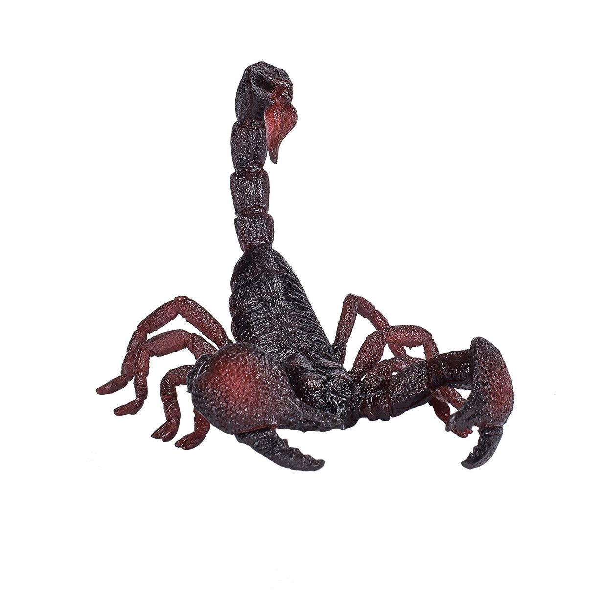 Mojo dyreliv kejser skorpion - 387133