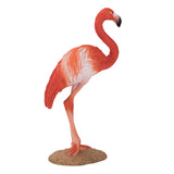 Mojo dyreliv amerikansk flamingo - 387134