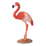 Mojo dyreliv amerikansk flamingo - 387134