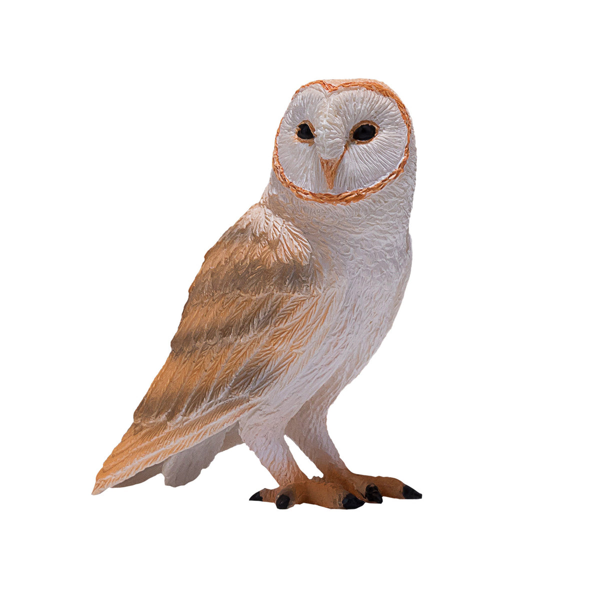 Mojo dyreliv slørugle - 381054