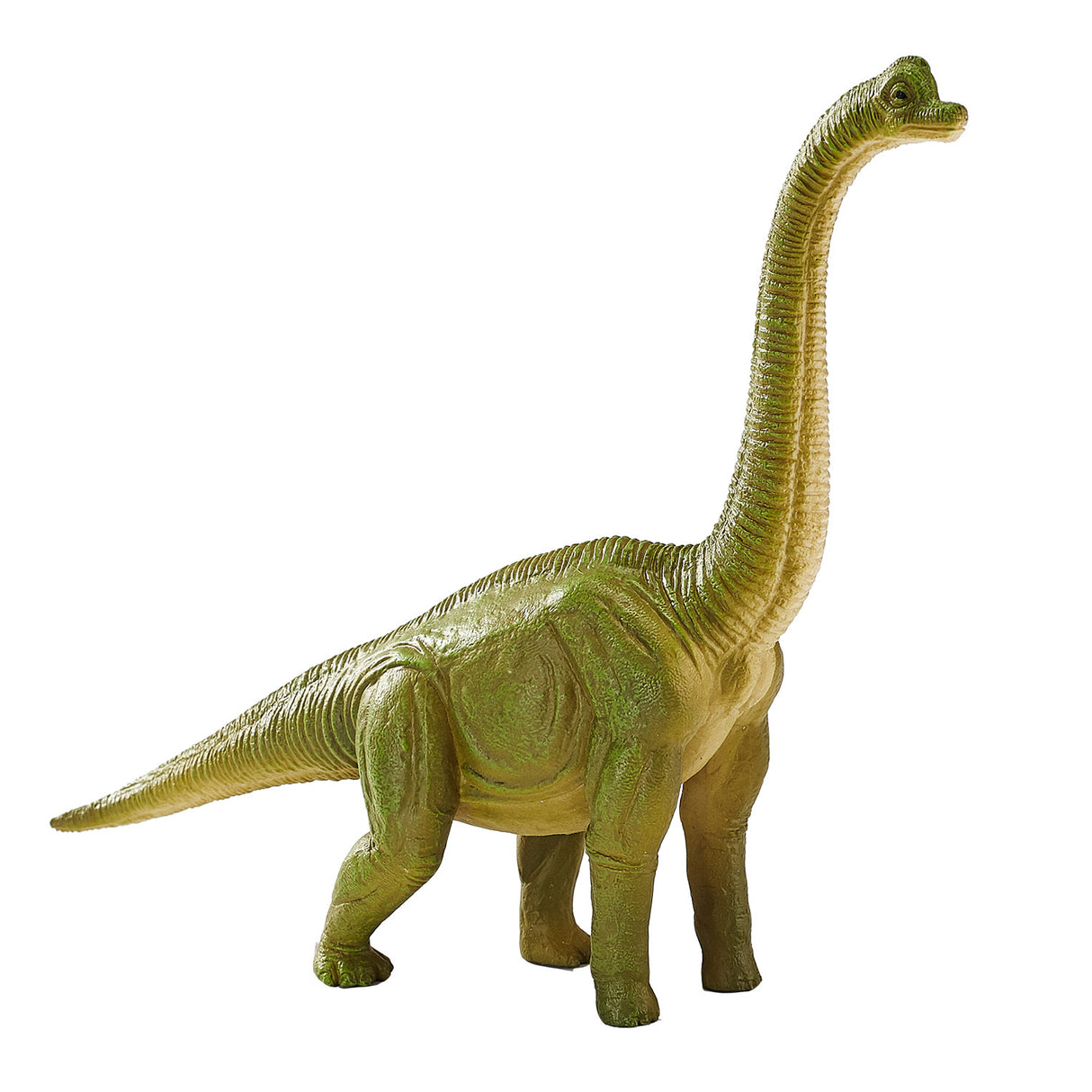 Mojo prehistory brachiosaurus - 387212