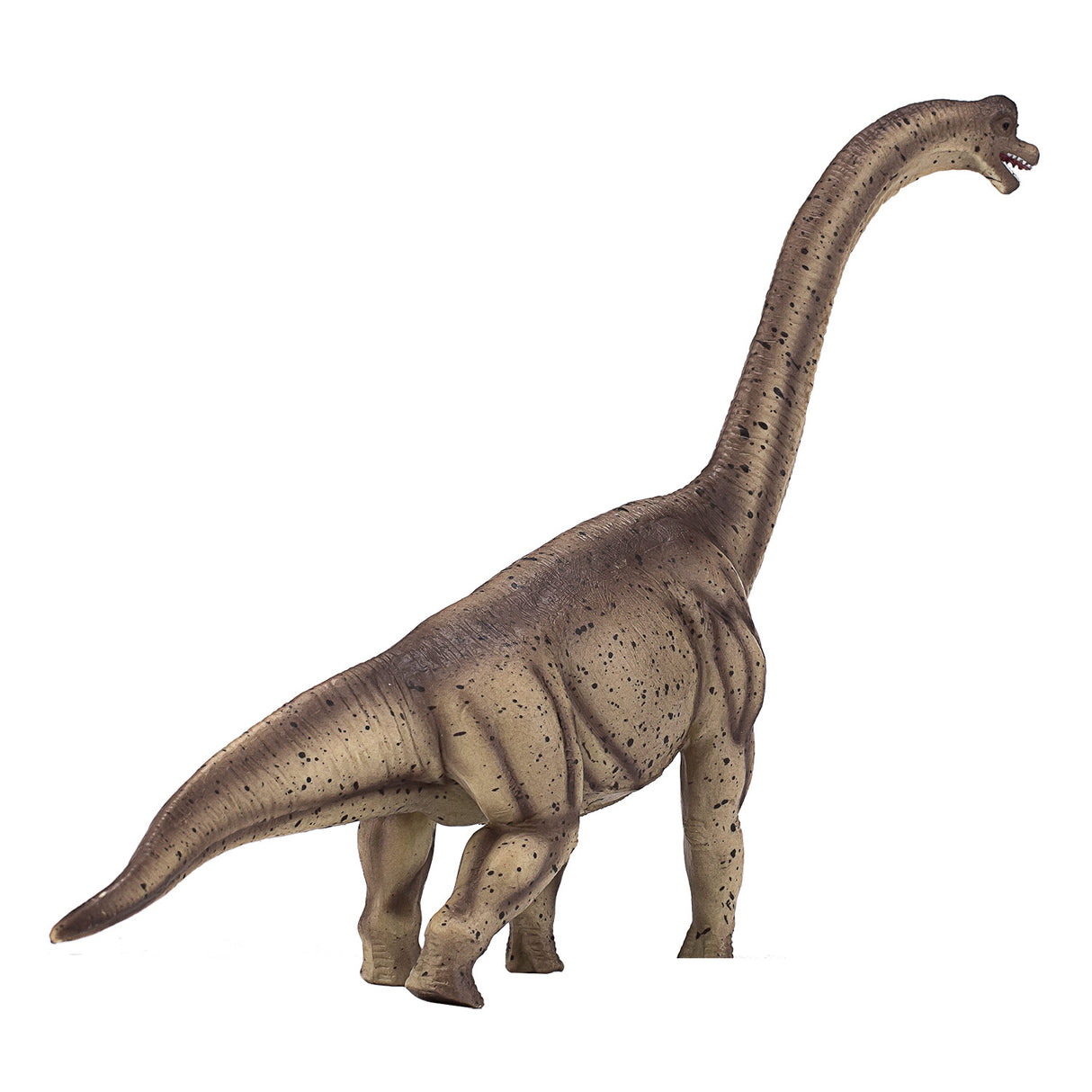 Mojo prehistory deluxe brachiosaurus - 387381