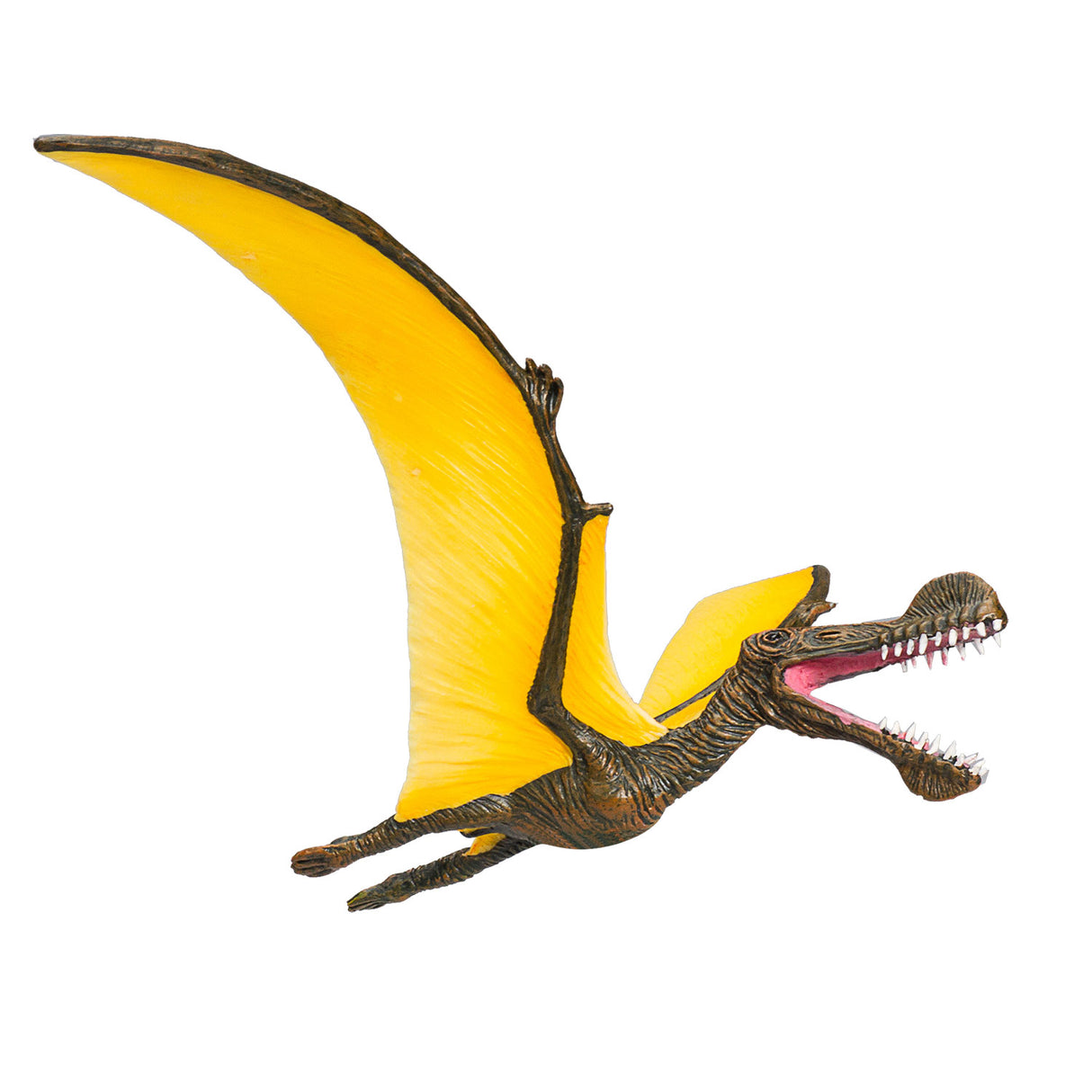 Mojo forhistorie tropeognathus - 387375