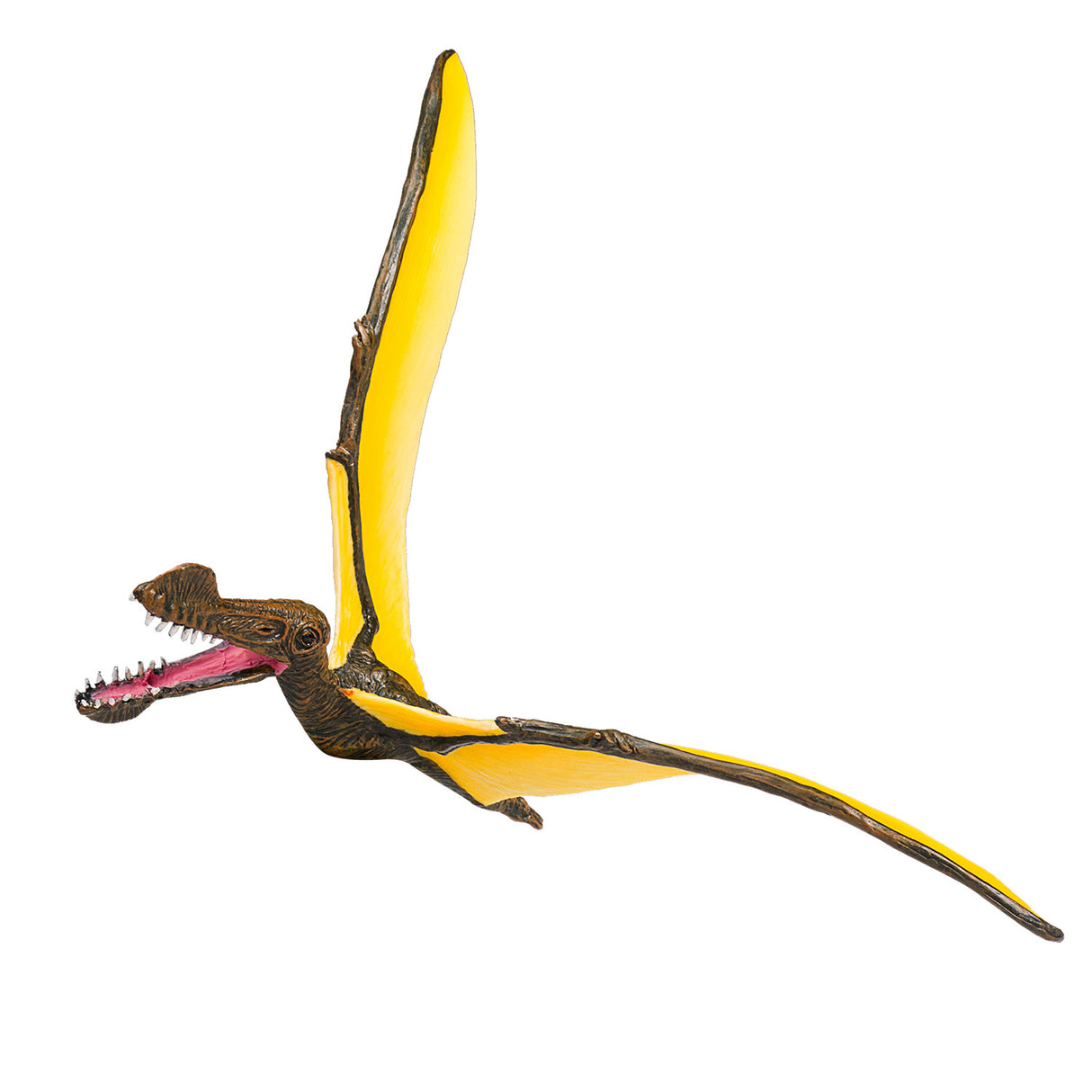 Mojo forhistorie tropeognathus - 387375