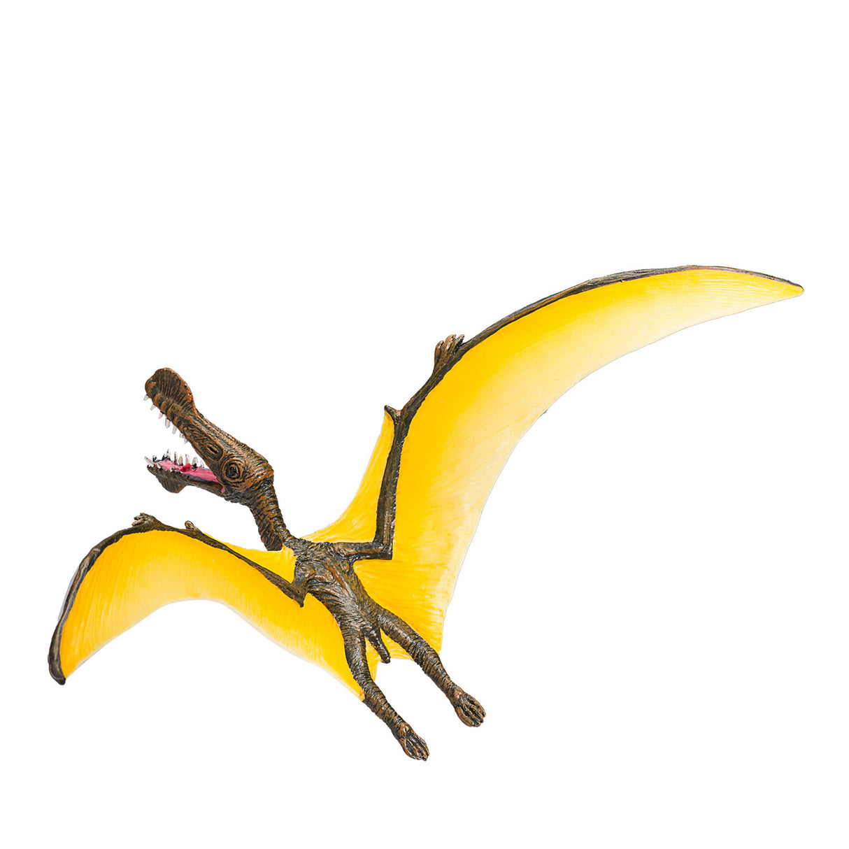 Mojo forhistorie tropeognathus - 387375