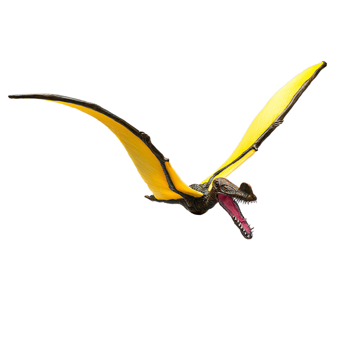 Mojo forhistorie tropeognathus - 387375