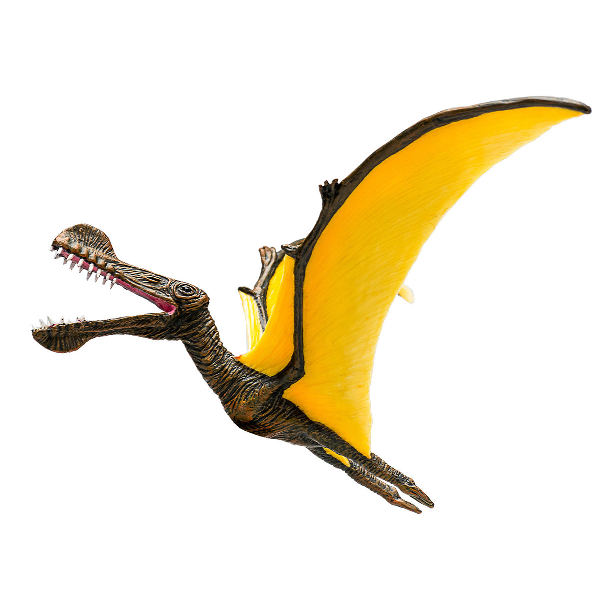 Mojo forhistorie tropeognathus - 387375