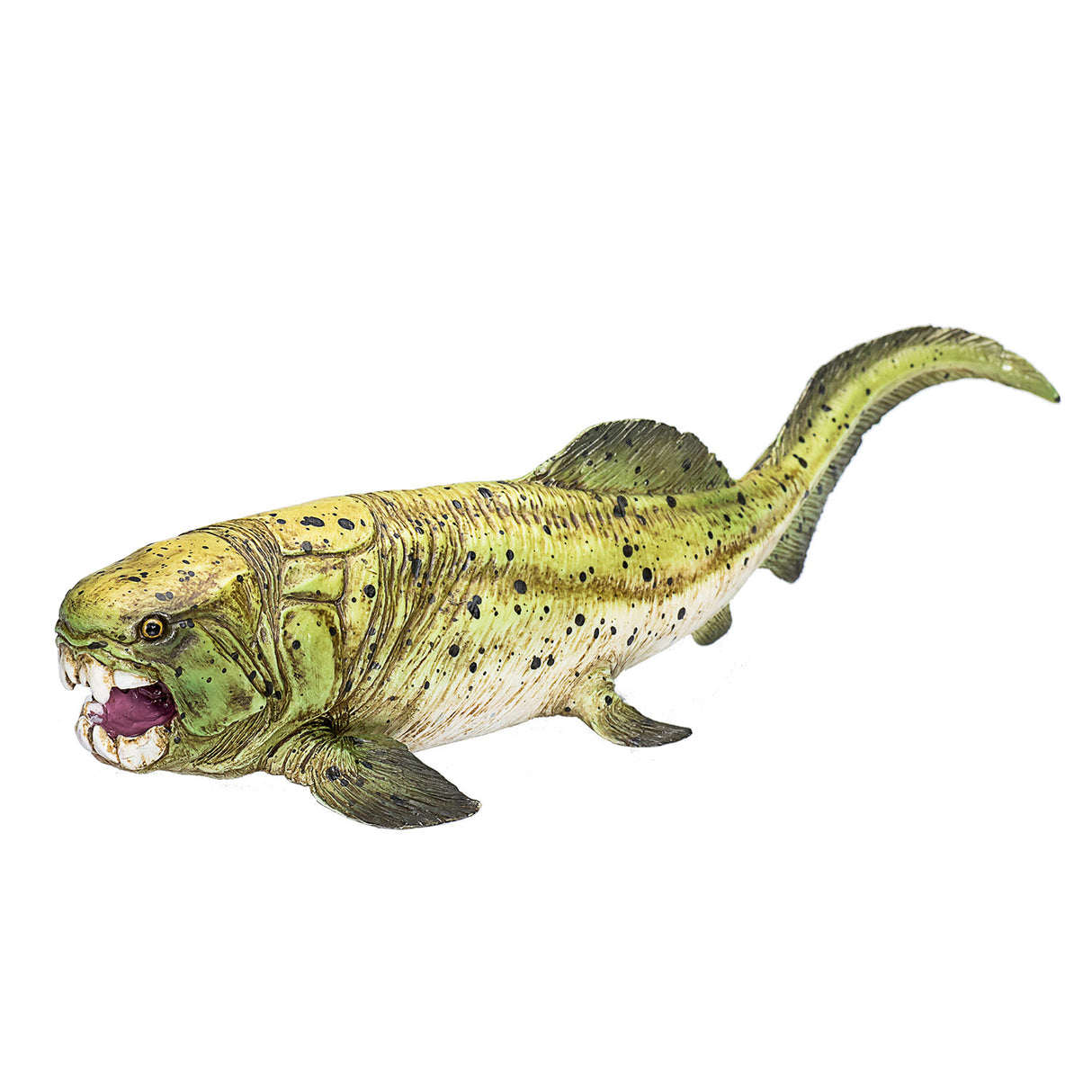 Mojo forhistorie dunkleosteus - 387374