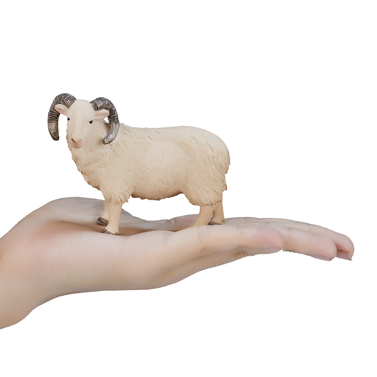 Mojo landbrugsjord Schaap Ram 387097