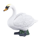 Mojo landbrugsjord mutsvane - 387065