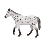 Mojo horse world appaloosa hingst - 387108