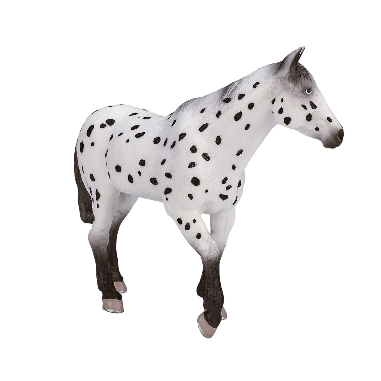 Mojo horse world appaloosa hingst - 387108