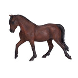 Mojo horse world morgan hingst brun - 381021
