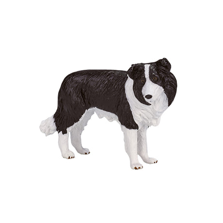 Mojo farmland border collie - 387203