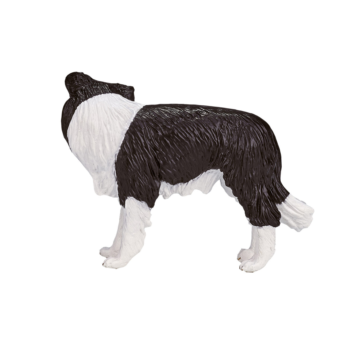 Mojo farmland border collie - 387203