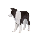 Mojo farmland border collie - 387203