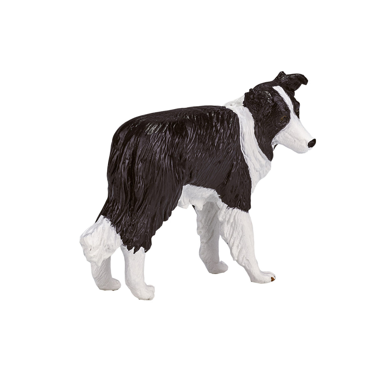Mojo farmland border collie - 387203