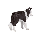 Mojo farmland border collie - 387203