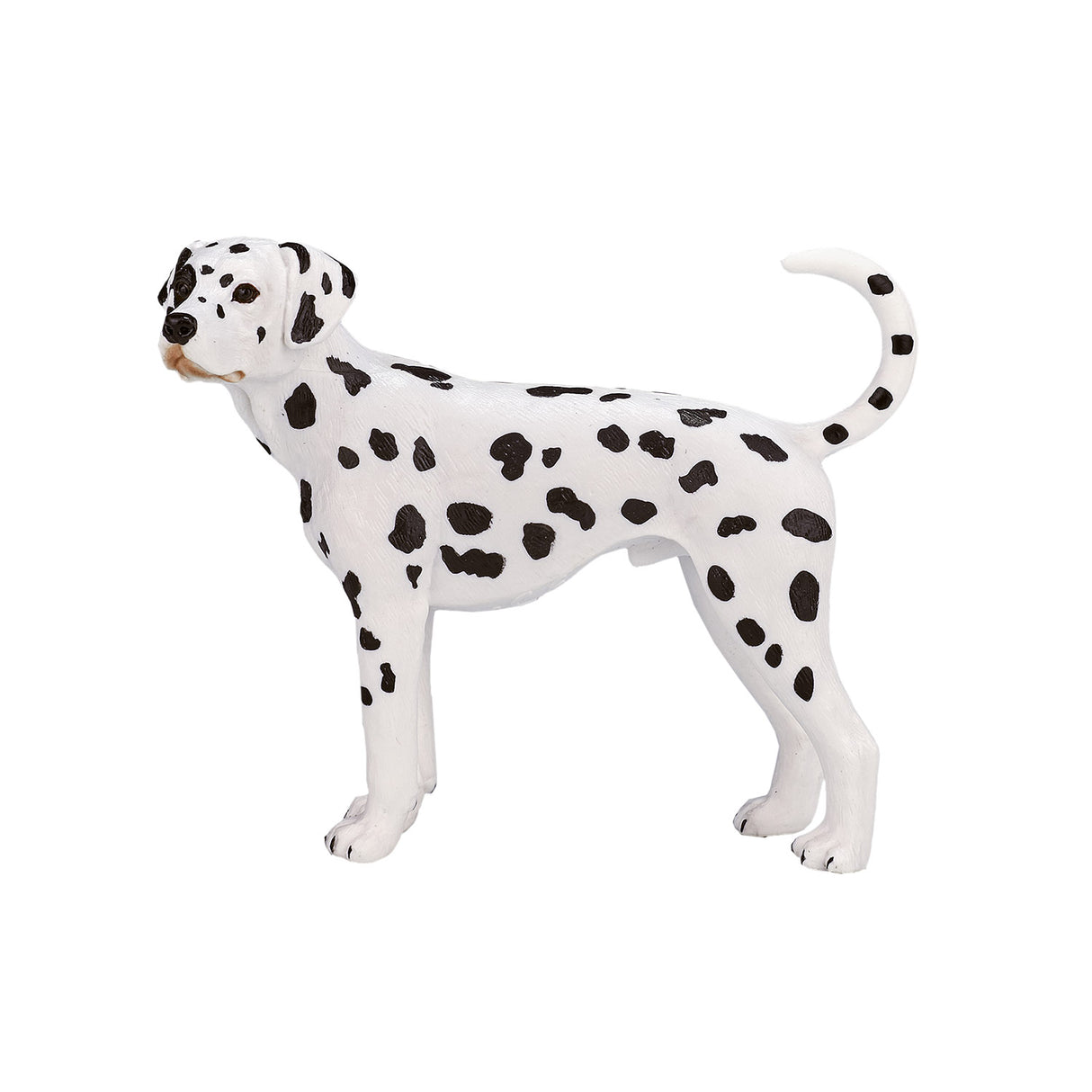 Mojo landbrugsjord dalmatisk - 387248