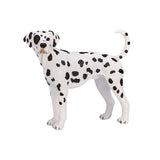 Mojo landbrugsjord dalmatisk - 387248