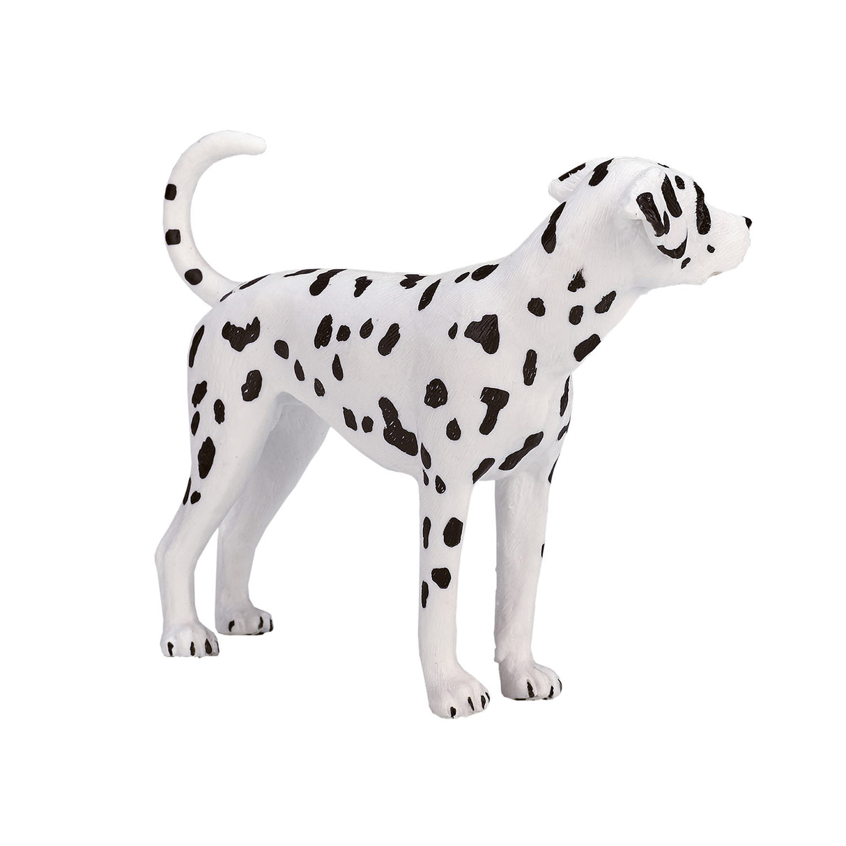 Mojo landbrugsjord dalmatisk - 387248