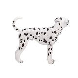 Mojo landbrugsjord dalmatisk - 387248