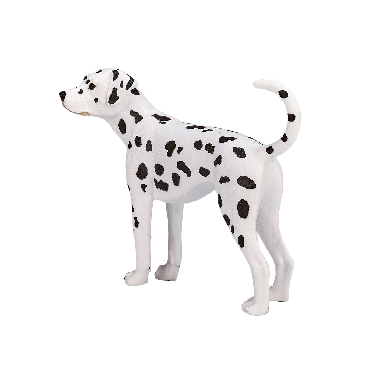 Mojo landbrugsjord dalmatisk - 387248