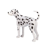 Mojo landbrugsjord dalmatisk - 387248